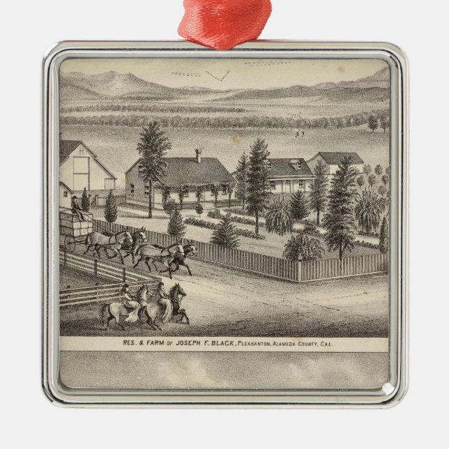 Svart, Neal residensen, egendom Julgransprydnad Metall (Framsidan)