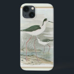 Svart-Necked Stilts av Vatten<br><div class="desc">Den här enkla men vackra bran av två svartnackade stiltlar som står vid vatten på en grumlig dag kommer att se perfekt ut på alla produkter av Zazzle. Neutralten färg är mycket avslappnande och skulle göra ett underbart tillägg till ditt hem eller kontor.</div>