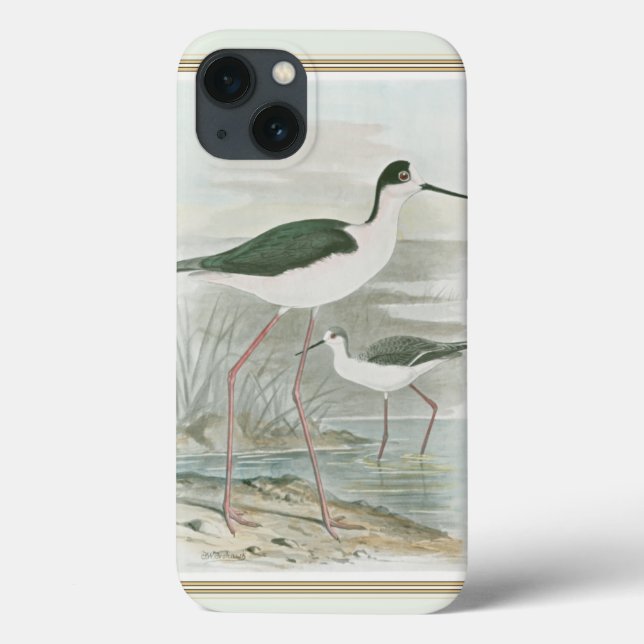 Svart-Necked Stilts av Vatten (Baksida)