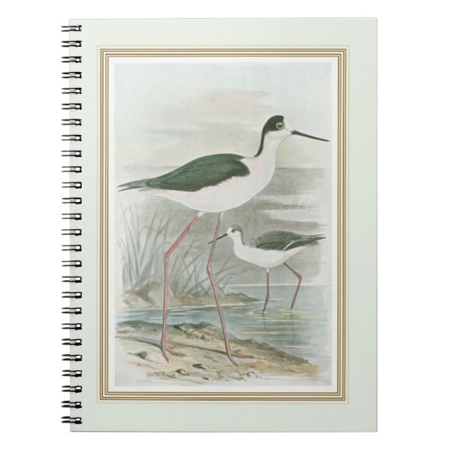 Svart-Necked Stilts av Vatten Anteckningsbok Med Spiral (Framsidan)
