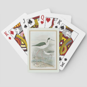 Svart-Necked Stilts av Vatten Casinokort