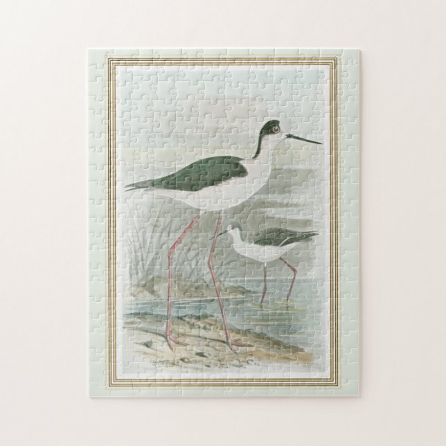Svart-Necked Stilts av Vatten Pussel (Vertikal)