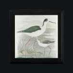 Svart-Necked Stilts av Vatten Smyckeskrin<br><div class="desc">Den här enkla men vackra bran av två svartnackade stiltlar som står vid vatten på en grumlig dag kommer att se perfekt ut på alla produkter av Zazzle. Neutralten färg är mycket avslappnande och skulle göra ett underbart tillägg till ditt hem eller kontor.</div>