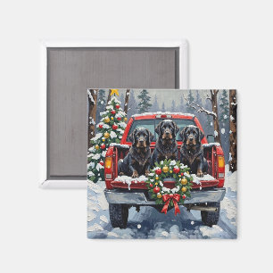 Svart Newfoundland Jul Röd Lastbil Holiday Magnet