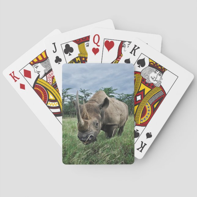 Svart Noshörna | Kenya Casinokort (Baksidan)
