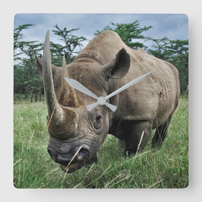 Svart Noshörna | Kenya Fyrkantig Klocka (Framsida)