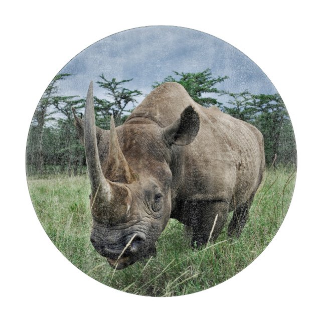 Svart Noshörning | Kenya (Framsidan)