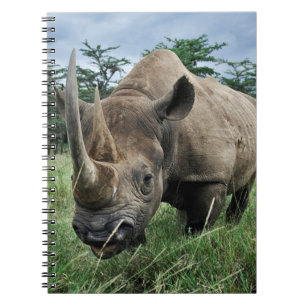 Svart noshörning   Kenya Anteckningsbok