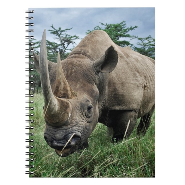 Svart noshörning | Kenya Anteckningsbok (Framsidan)