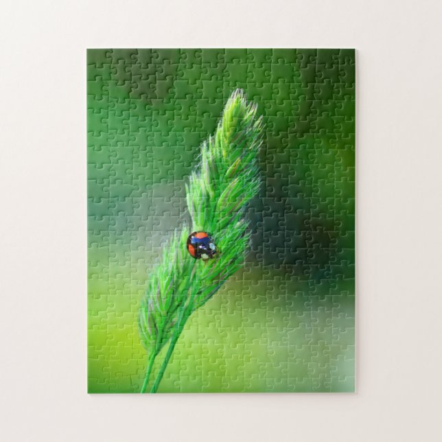 Svart nyckelpiga på resa.... pussel (Vertikal)