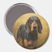 Svart och brun Coonhound