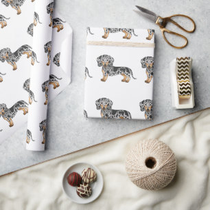 Svart Och Brun Färgad Dapple Korthårig Dachshund M Presentpapper