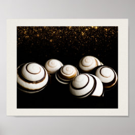 Svart och Guld Seashells Tropiska utskrivbara kons Poster