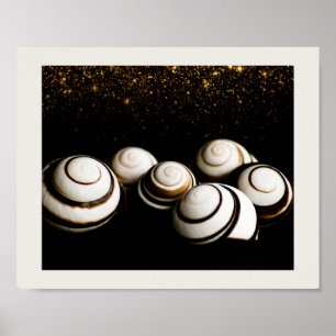 Svart och Guld Seashells Tropiska utskrivbara kons Poster