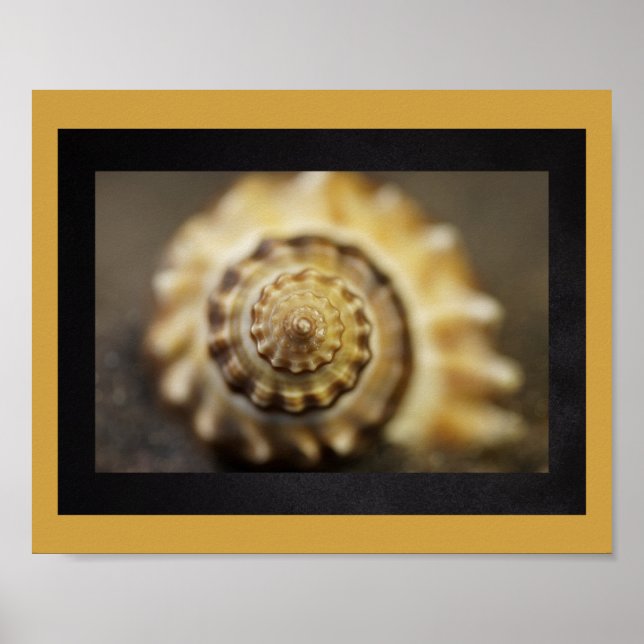 Svart och Guld Shell Tropical Printable Art Poster (Framsidan)