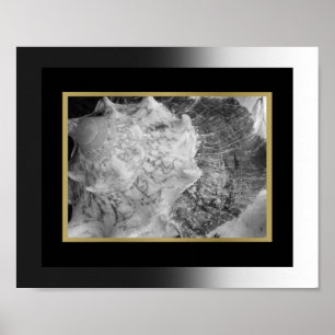 Svart och Guld Tropical Seashell Printable Art Poster