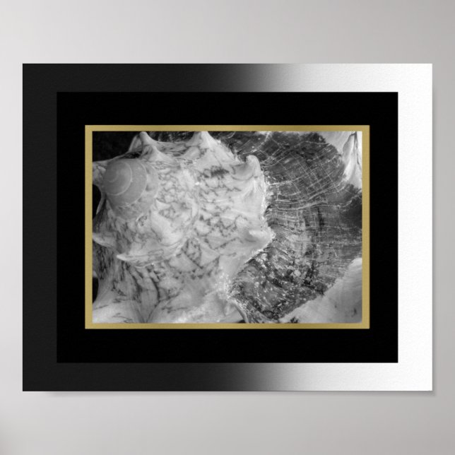 Svart och Guld Tropical Seashell Printable Art Poster (Framsidan)