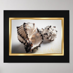 Svart och Guld Tropical Seashell Printable Art Poster