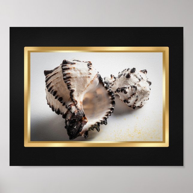 Svart och Guld Tropical Seashell Printable Art Poster (Framsidan)
