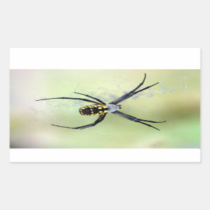 Svart och Gult Argiope Garden Spider Sticker Rektangulärt Klistermärke
