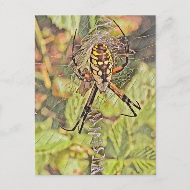 Svart och Gult Garden Spider Watercolor Painting ( Vykort (Framsida)