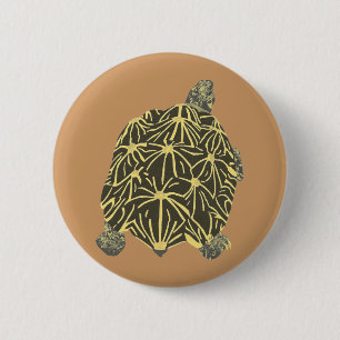 Svart och Gult Star Tortoise, målning på knapp