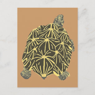 Svart och Gult Star Tortoise, målningsvykort Vykort