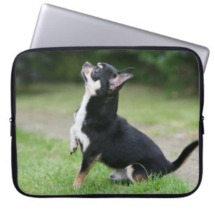 Svart och kräm- Chihuahua Laptop Sleeve
