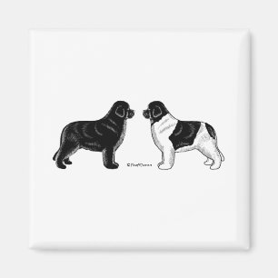 Svart och Landseer Newfoundland hundar Magnet
