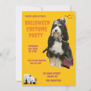Svart och Orange Hund i Pirat Costume Party Inbjudningar