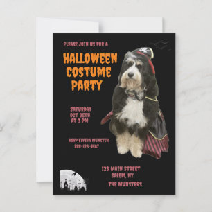 Svart och Orange Hund i Pirat Costume Party Vykort