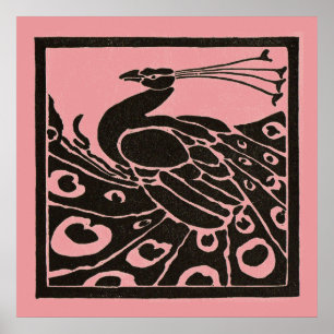 SVART OCH ROSA PÅFÅGEL POSTER