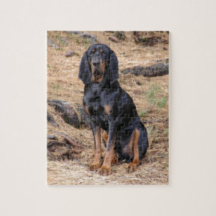 Svart och solbränd Coonhoundhund Pussel