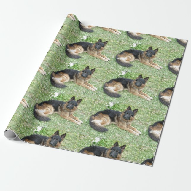 Svart och solbränd schäfer presentpapper (Utrullad)