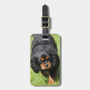 Svart och Tan Cavalier Kung Charles Spain Hund Bagagebricka