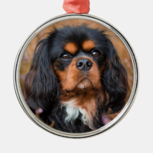 Svart och Tan Cavalier Kung Charles Spain Hund Julgransprydnad Metall