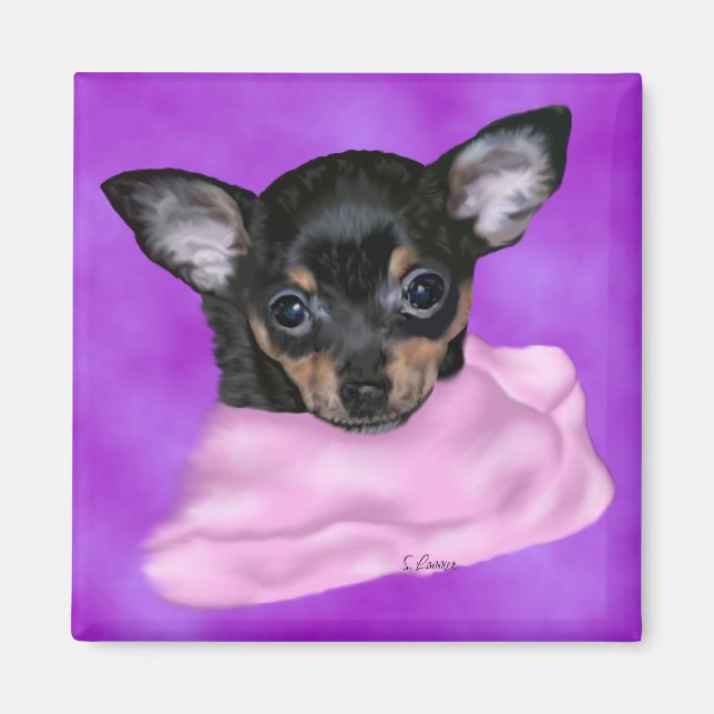 Svart och tan chihuahua valp magnet (Framsidan)