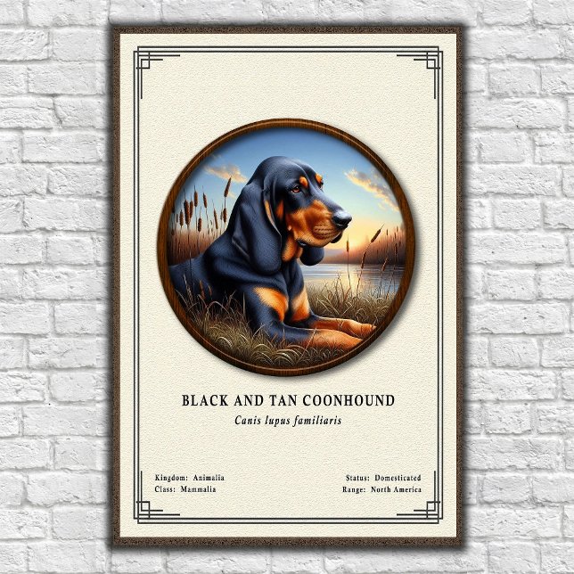 Svart och Tan Coonhound Zoologi Serie Poster (Skapare uppladdad)