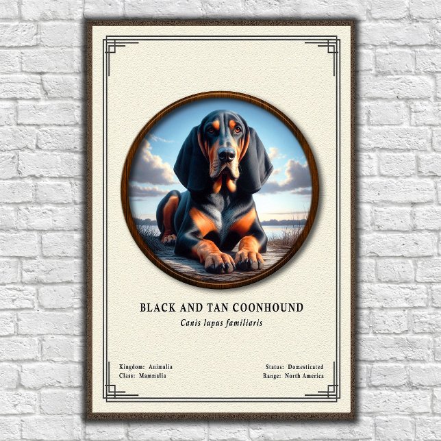 Svart och Tan Coonhound Zoologi Serie Poster (Skapare uppladdad)