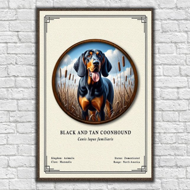 Svart och Tan Coonhound Zoologi Serie Poster (Skapare uppladdad)