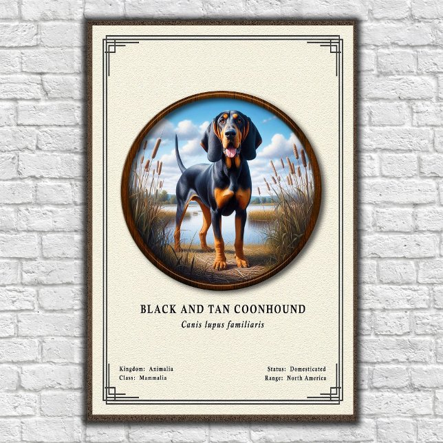 Svart och Tan Coonhound Zoologi Serie Poster (Skapare uppladdad)