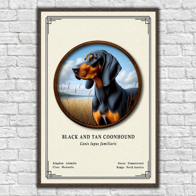 Svart och Tan Coonhound Zoologi Serie Poster (Skapare uppladdad)