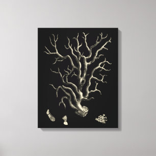 Svart och tan Coral Canvastryck