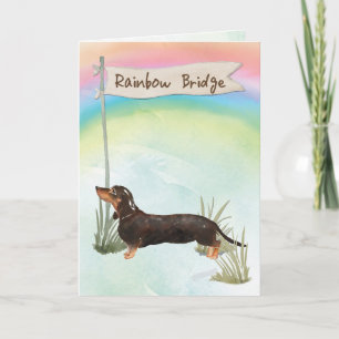 Svart och Tan Dachshund Pet Sympathy over Rainbow Kort