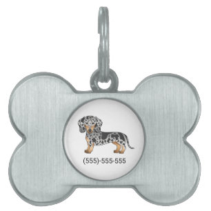 Svart Och Tan Dapple Korthårig Dachshund & Nummer ID-bricka Husdjur