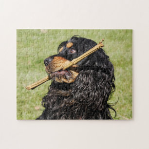 Svart och Tan Playful Cocker Spain Puppy Hund Pussel
