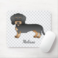 Svart Och Tan Trådhårig Dachshund Hund Med Namn