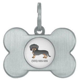 Svart och Tan Trådhårig Dachshund & Telefonnummer ID-bricka Husdjur
