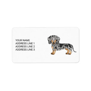 Svart Och Tanfläckig Korthårig Dachshund & Text Adressetikett
