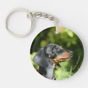 Svart och tonmöbler Dachshund 3
